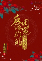 �����ǵ��ų����ֽ�����