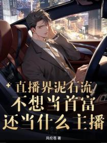 ֱ������ʯ�������뵱�׸�����ʲô������
